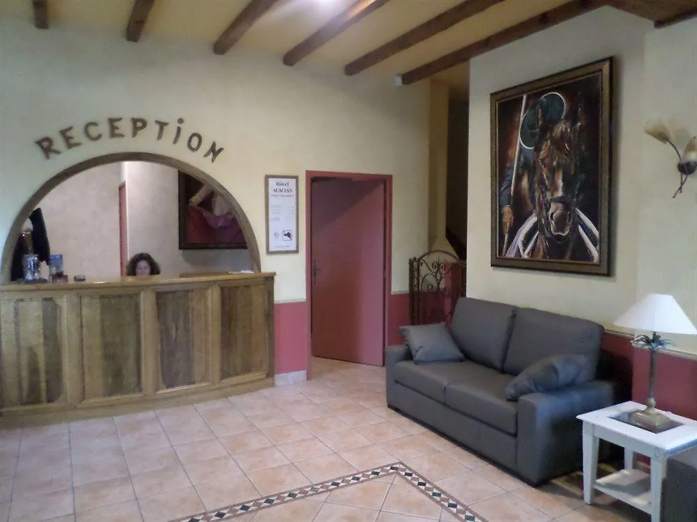 Brit Hotel Acacias Arles
